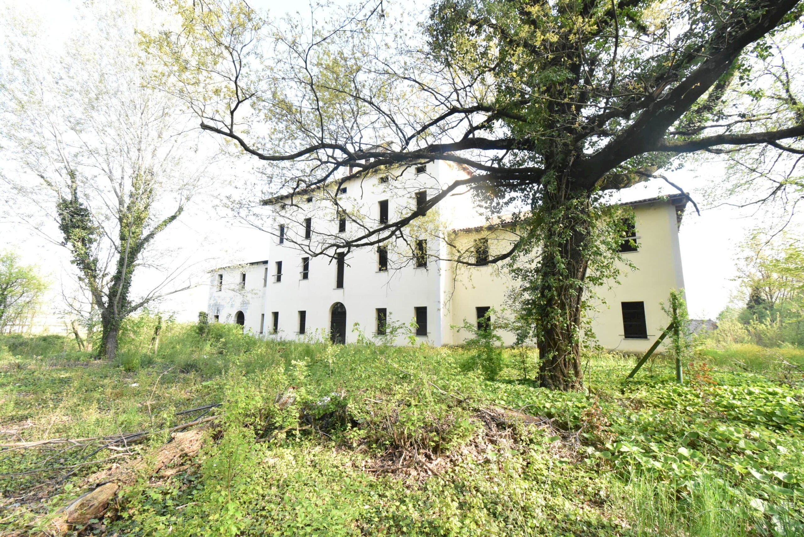 Villa Castelfranco Emilia - foto 3