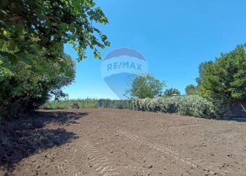 Villa Via Falconella, Marino - foto 5