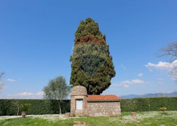 Villa Unifamiliare Sipicciano, Graffignano - foto 23