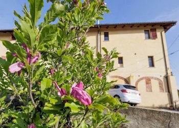 Villa Asti - foto 45