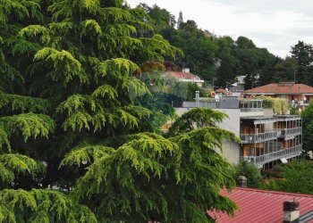 Stabile - Palazzo VIA SAN LUIGI, 28 
 Arona, Arona - foto 6