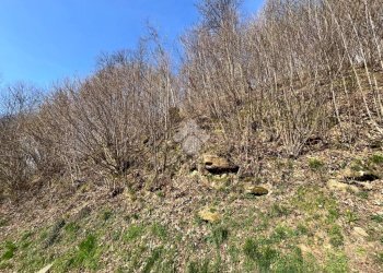 Rustico Via Alpi, Castelnuovo Nigra - foto 17