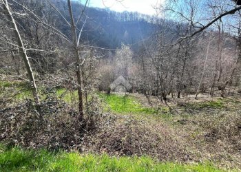 Rustico Via Alpi, Castelnuovo Nigra - foto 8