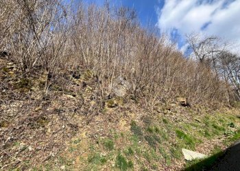 Rustico Via Alpi, Castelnuovo Nigra - foto 12