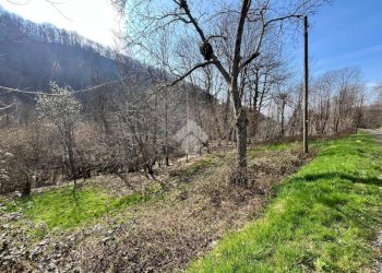 Rustico Via Alpi, Castelnuovo Nigra - foto 15