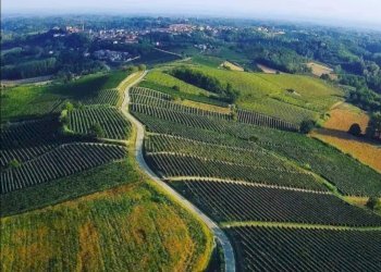 Casa indipendente via Roma, Castagnole Monferrato - foto 3