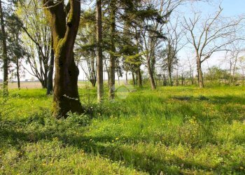 Rustico Via albricconi, Campagnola Emilia - foto 19