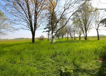 Rustico Via albricconi, Campagnola Emilia - foto 23
