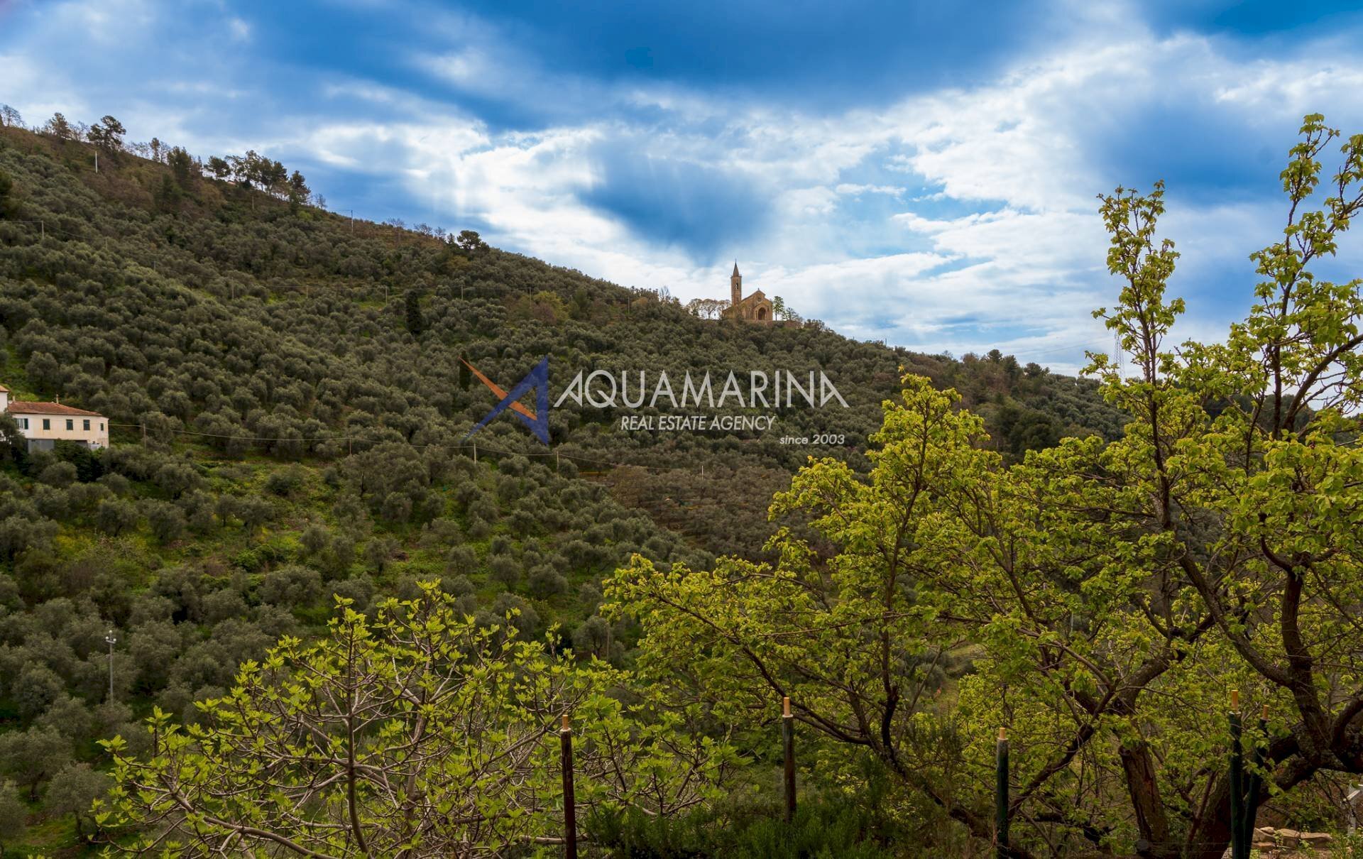 Apartment Imperia - photo 2