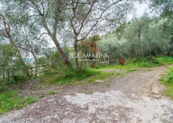 Appartamento Imperia - foto 6