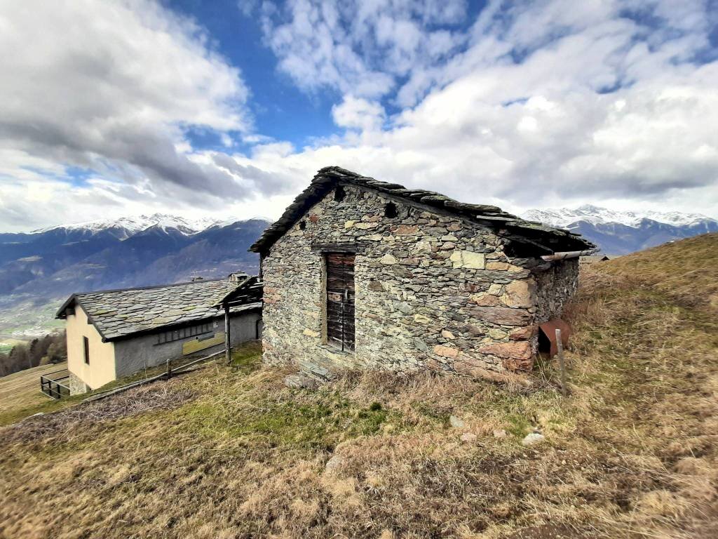 Terreno - Independent house Località Campelli, 4, Albosaggia - photo 2