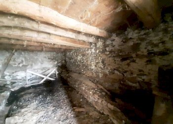 Cantina - Casa indipendente Località Campelli, 4, Albosaggia - foto 13