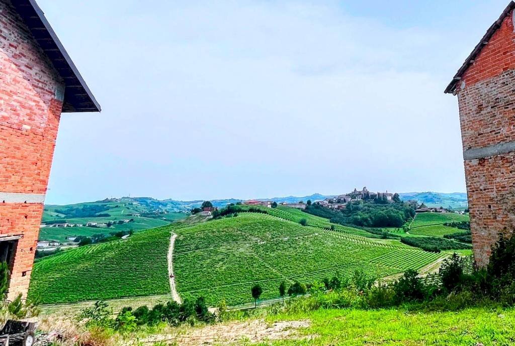 Vista - Rustic via Bordini, 8, Neive - photo 2