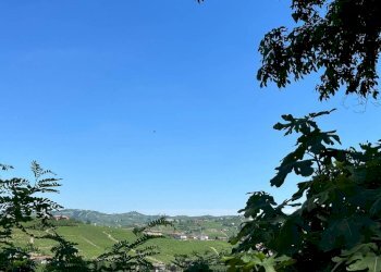 Vista - Rustic via Bordini, 8, Neive - photo 7