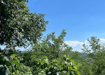 Vista - Rustic via Bordini, 8, Neive - photo 8