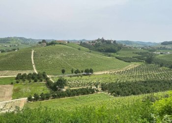 Vista - Rustic via Bordini, 8, Neive - photo 12