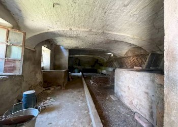 Cantina - Rustic via Bordini, 8, Neive - photo 39