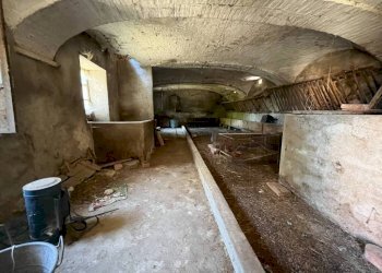 Cantina - Rustic via Bordini, 8, Neive - photo 43