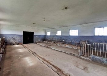 Altro - Rustico via Mondovì, Rocca de' Baldi - foto 25