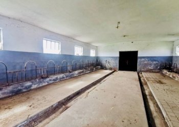 Altro - Rustico via Mondovì, Rocca de' Baldi - foto 26