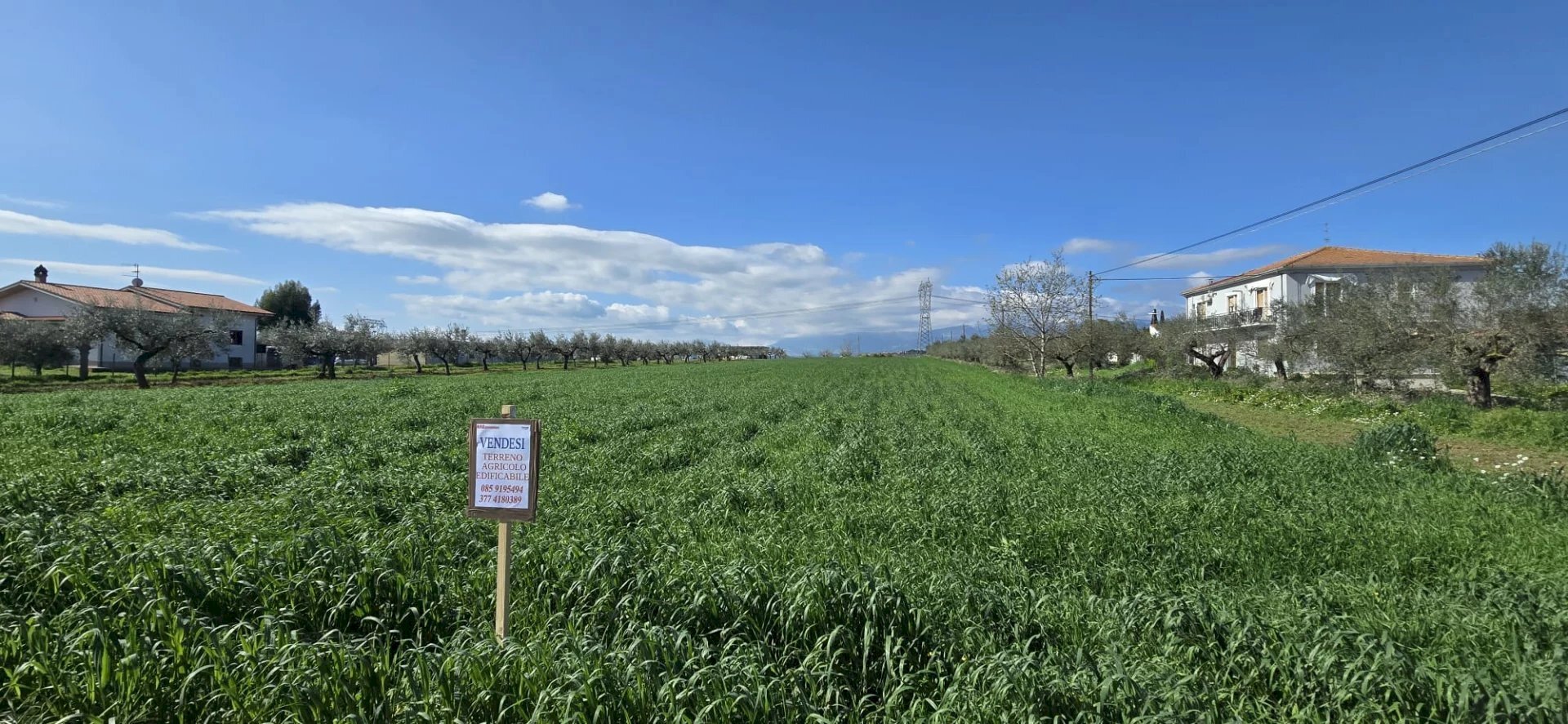 Terreno edificabile Strada dei Fiori, Collecorvino - foto 1