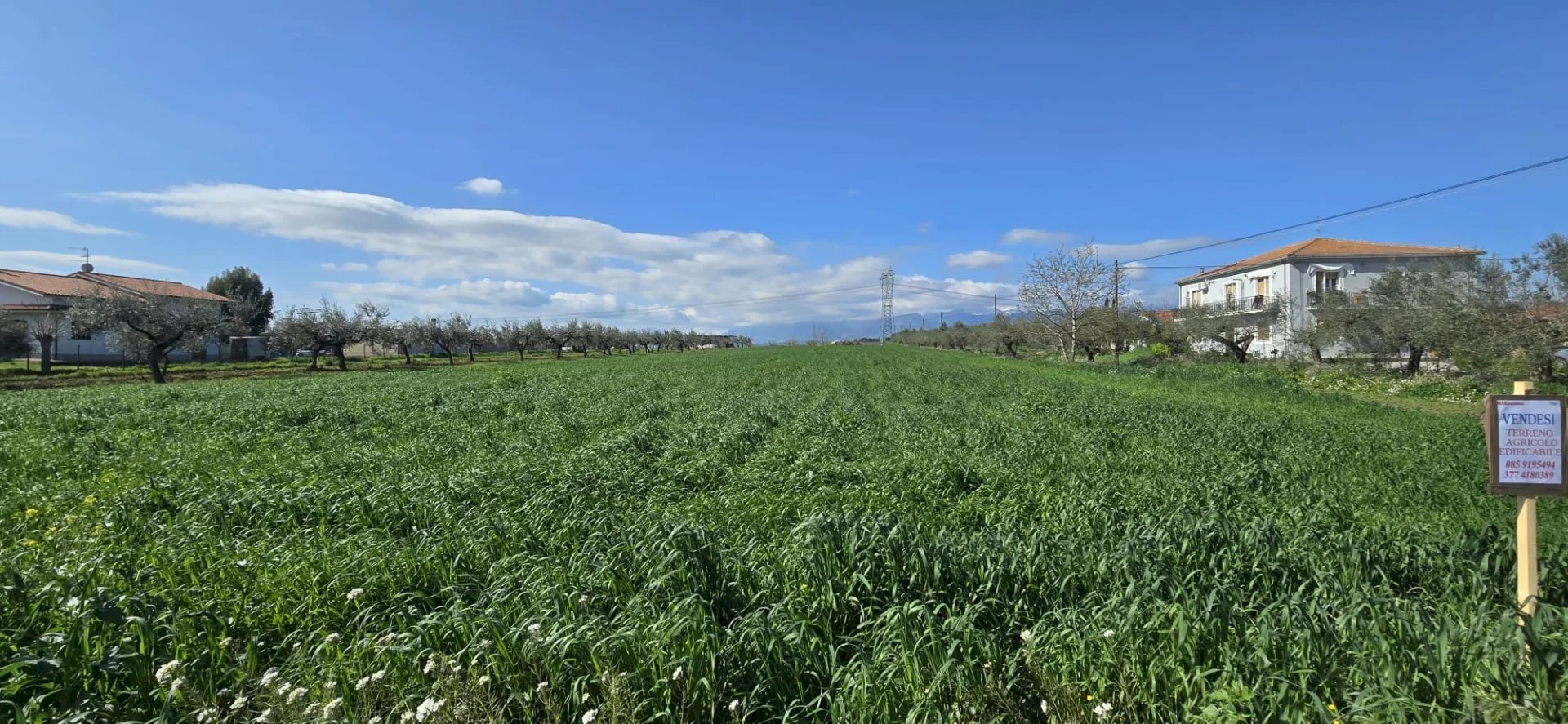 Terreno edificabile Strada dei Fiori, Collecorvino - foto 2