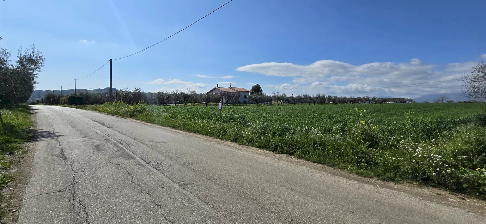 Terreno edificabile Strada dei Fiori, Collecorvino - foto 3