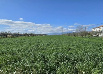 Terreno edificabile Strada dei Fiori, Collecorvino - foto 2