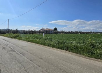 Terreno edificabile Strada dei Fiori, Collecorvino - foto 3