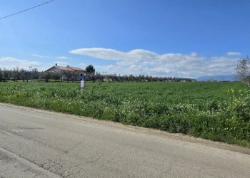 Terreno edificabile Strada dei Fiori, Collecorvino - foto 4