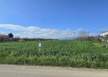 Terreno edificabile Strada dei Fiori, Collecorvino - foto 6