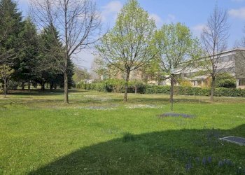 Quadrilocale Grugliasco - foto 5