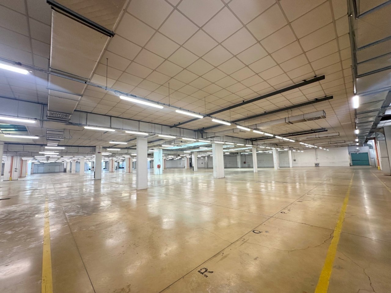 Capannone Casalecchio di Reno - foto 3