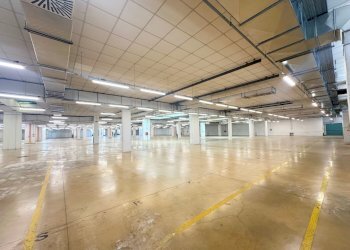 Capannone Casalecchio di Reno - foto 4