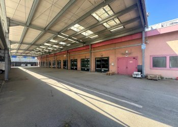 Capannone Casalecchio di Reno - foto 12