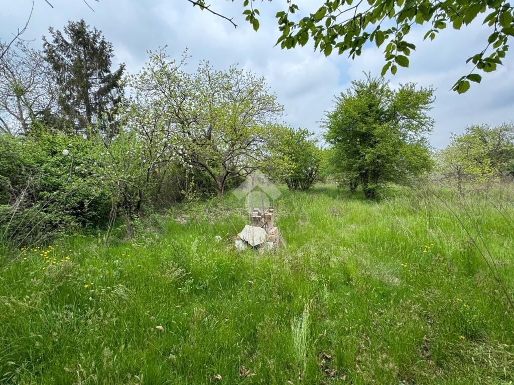 Terreno edificabile Via Alfieri, Rivalta di Torino - foto 1