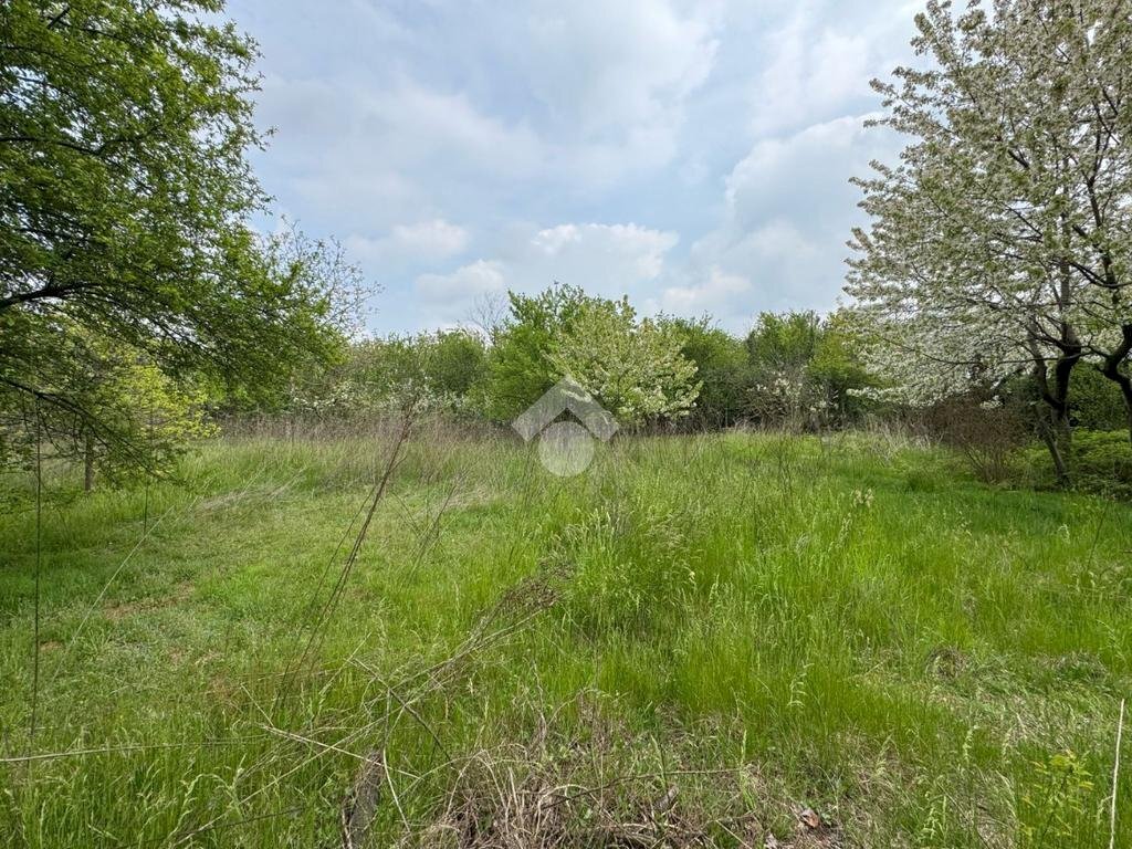 Terreno edificabile Via Alfieri, Rivalta di Torino - foto 2