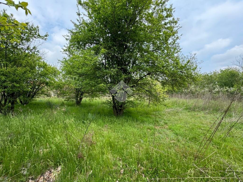 Terreno edificabile Via Alfieri, Rivalta di Torino - foto 3