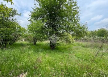 Terreno edificabile Via Alfieri, Rivalta di Torino - foto 3