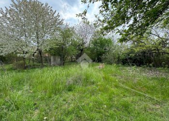 Terreno edificabile Via Alfieri, Rivalta di Torino - foto 5