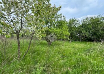 Terreno edificabile Via Alfieri, Rivalta di Torino - foto 6