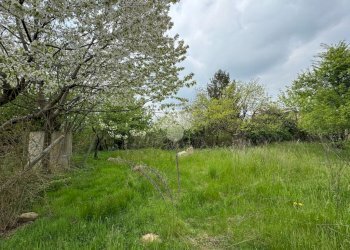 Terreno edificabile Via Alfieri, Rivalta di Torino - foto 7