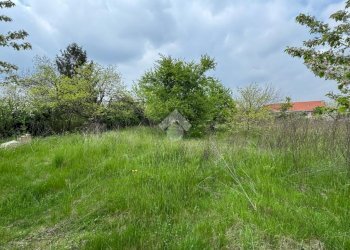 Terreno edificabile Via Alfieri, Rivalta di Torino - foto 8