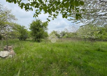 Terreno edificabile Via Alfieri, Rivalta di Torino - foto 12