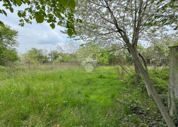 Terreno edificabile Via Alfieri, Rivalta di Torino - foto 14