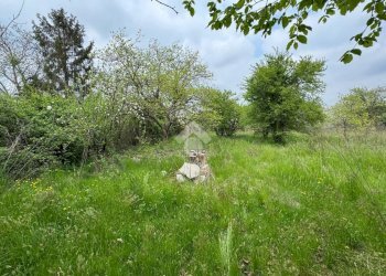 Terreno edificabile Via Alfieri, Rivalta di Torino - foto 17