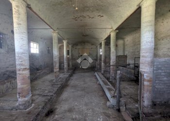 Rustico Via Argine Destro Montone, Ravenna - foto 16
