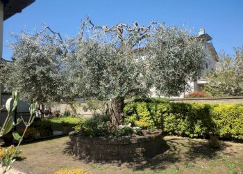 Giardino - Villa via John Fitzgerald Kennedy, Monterosi - foto 8