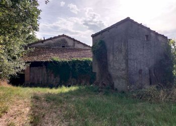 Rustico Via Nazionale Sud, Castiglione dei Pepoli - foto 8