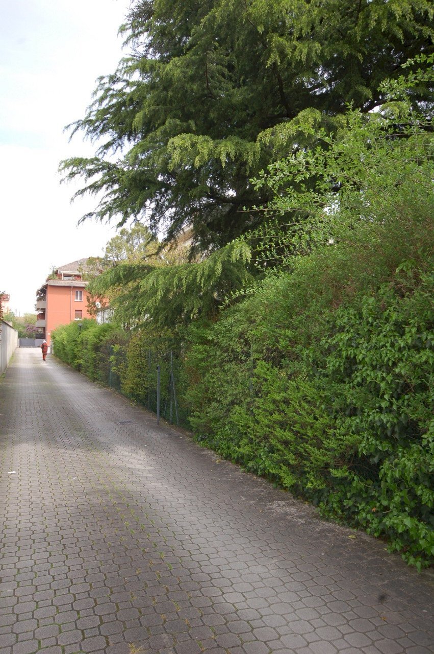 Appartamento Parma - foto 2